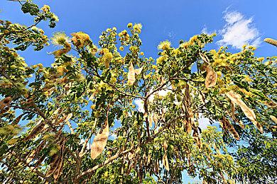 《星球大战：亡命之徒》将有GTA那样的通缉机制