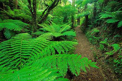 分析师预测PS6至少600美元 索尼用PS5 Pro试水